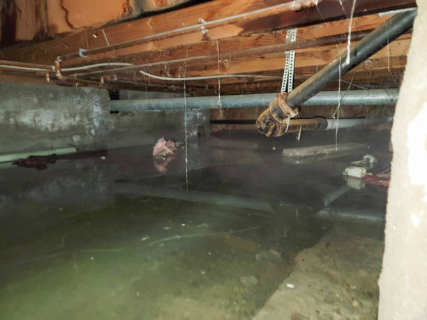 Best Water damage repair service  in Huntertown, IN