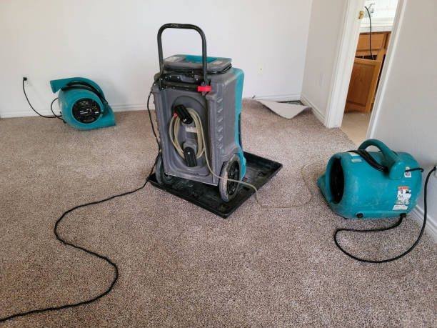 Best Sewage cleanup and water damage restoration  in Huntertown, IN