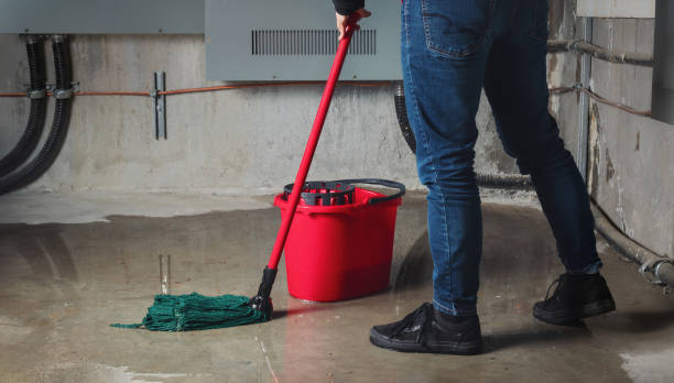 Best Water damage restoration company  in Huntertown, IN
