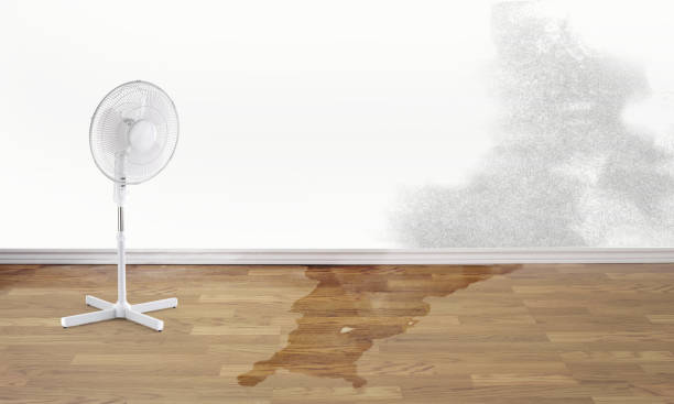 Best Flooded house restoration  in Huntertown, IN