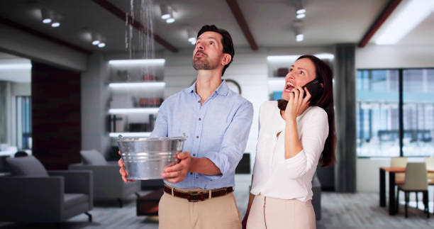 Best Water damage cleanup near me  in Huntertown, IN